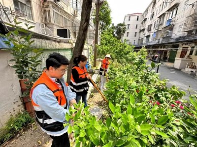 禁种铲毒不止步 宣传踏查守净土——静安区开展禁种铲毒工作